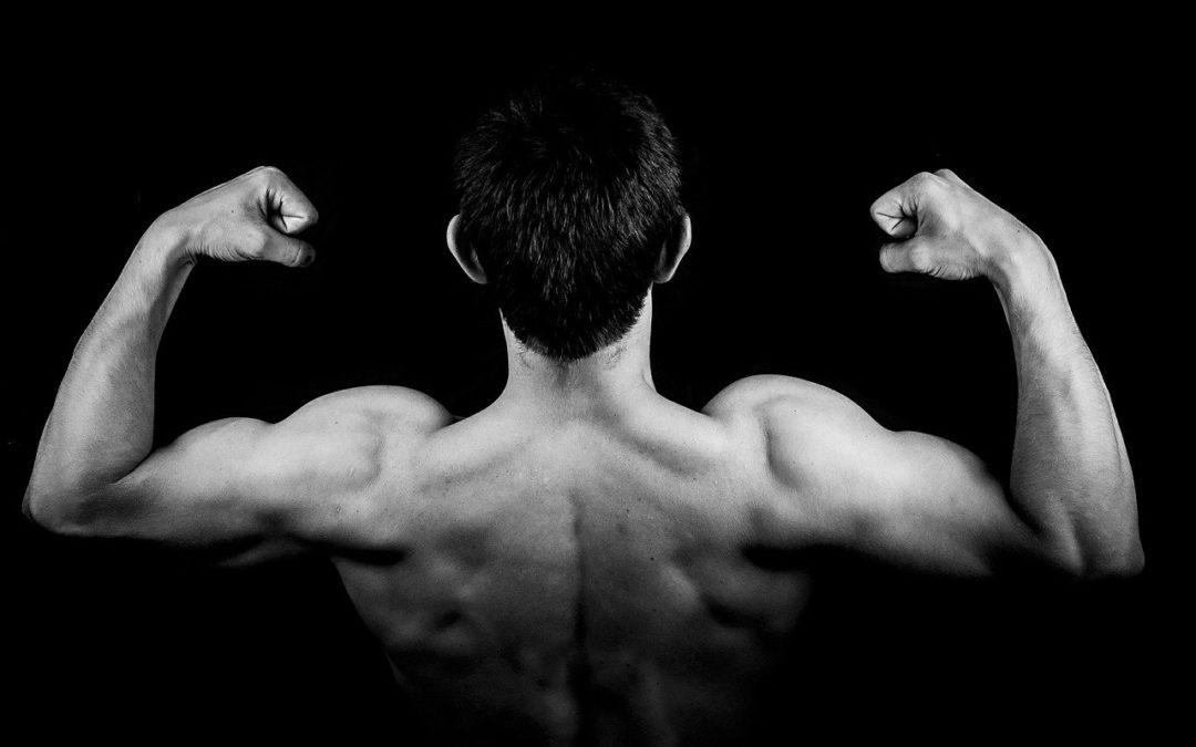 Wie du richtig Muskeln aufbaust